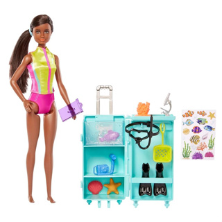 Boneca Barbie Profissões Cabeleireira GTW36 - Mattel - Lojas Quero