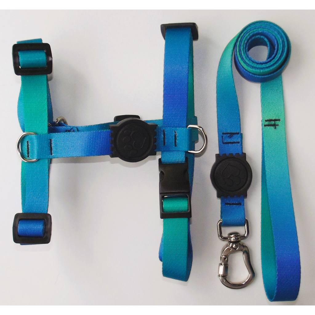 Peitoral H Anti-puxão verde azul para cachorro