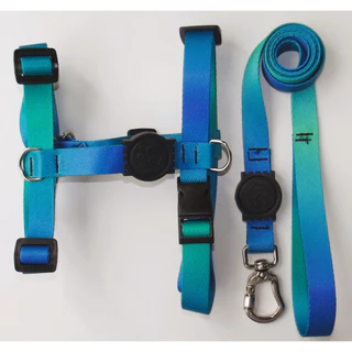 Peitoral H Anti-puxão verde azul para cachorro