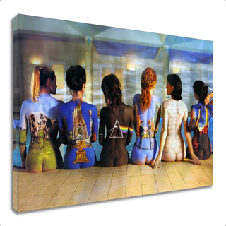 Quadro Canvas Decorativo Pink Floyd Beauties Catalog