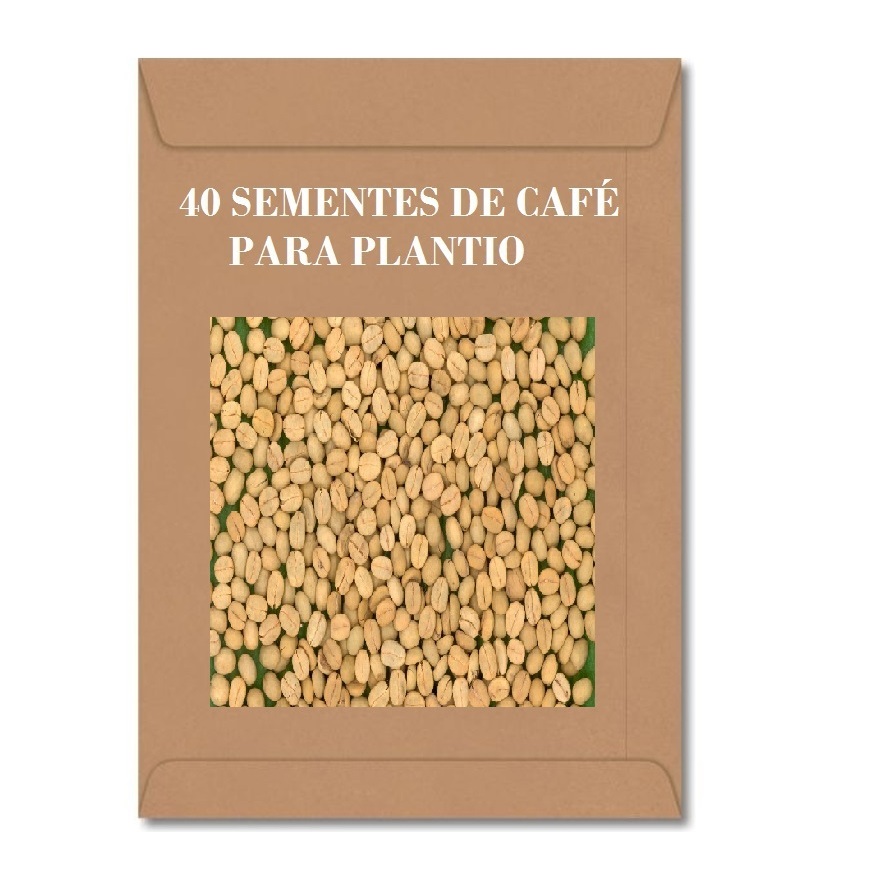 50 Sementes De Café Conilon