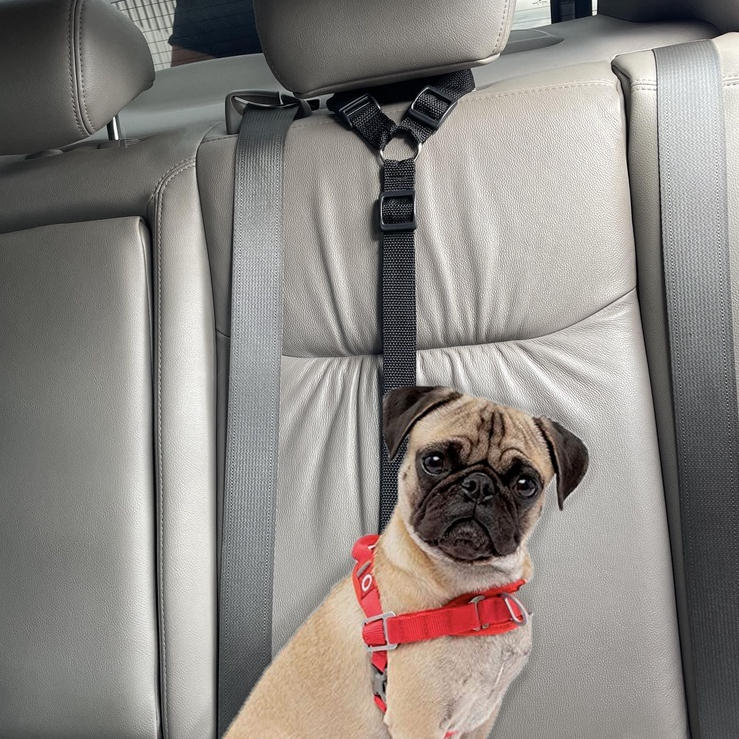 Cinto Segurança Para Encosto De Cabeça Carro Pet Ajuste De Tamanho ...