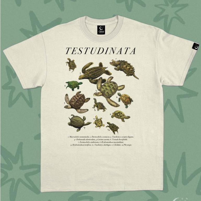 Camiseta Tartarugas - Off-White 🐢