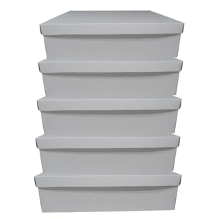 Kit 5 Caixa Presente Para Lembrancinhas E Brindes 40x30x11 Papelão Resistente