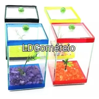 kit 06 aquários beteiras 10x10x15cm para peixes ornamentais decorada planta e padrinho coloridas