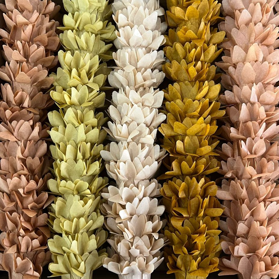 500 Forminhas Para Doces Fino Luxo Festa Casamento Maricota