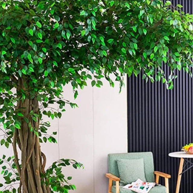 Folhas Ficus artificial com 42 folhas P/ Decoração Casamento, Arranjos, Decorar Festas mato e planta verde FF01