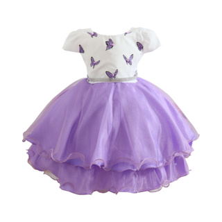 Vestido Jardim encantado Princesa Sofia Rapunzel de Festa Infantil Encanto  Isabela Lilás