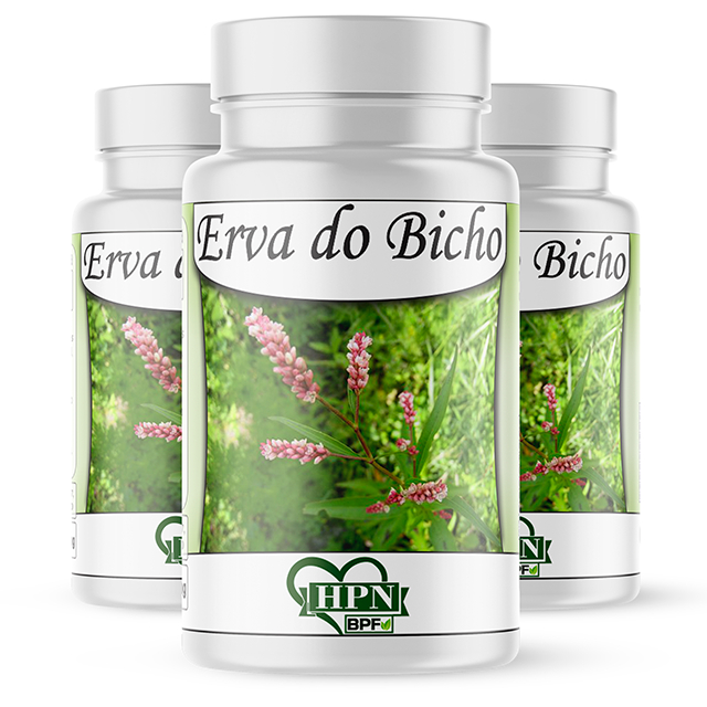 ERVA DE BICHO 3 FRASCOS Polygonum persicaria PLANTA MEDICINAL PREMIUM ...