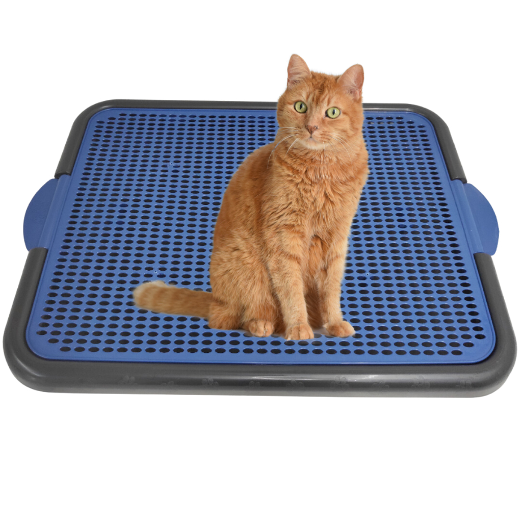 Bandeja Coletora De Areia Para Gato Tapete Coletor Gato Pata Limpa