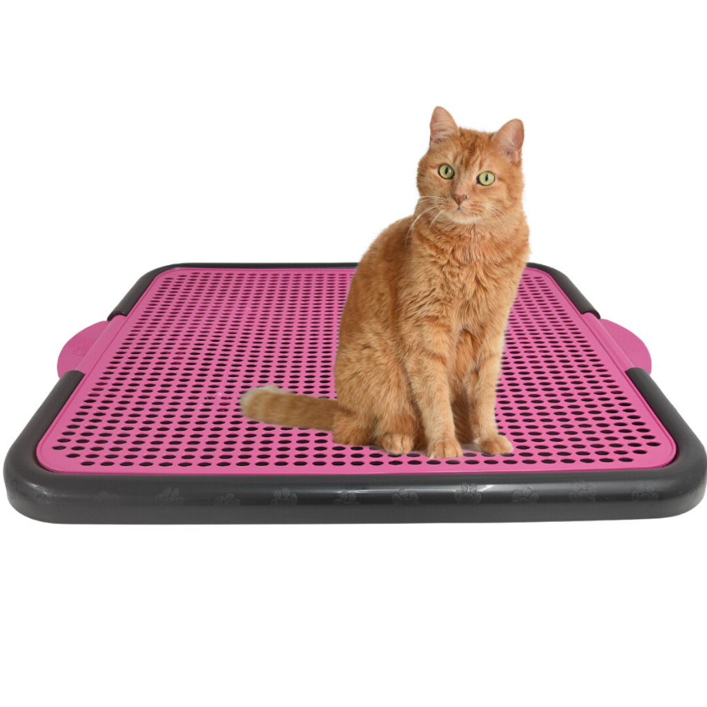 Bandeja Coletora De Areia Para Gato Tapete Coletor Gato Pata Limpa
