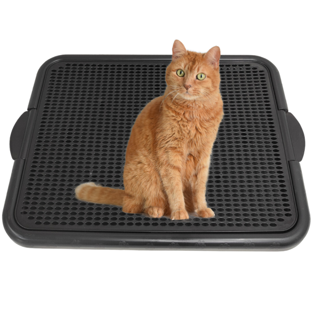 Bandeja Coletora De Areia Para Gato Tapete Coletor Gato Pata Limpa