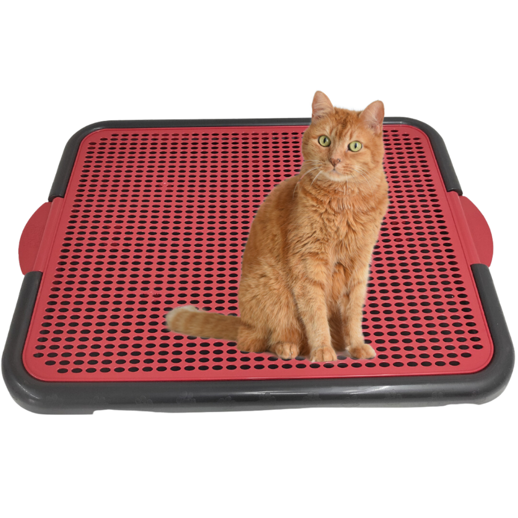 Bandeja Coletora De Areia Para Gato Tapete Coletor Gato Pata Limpa