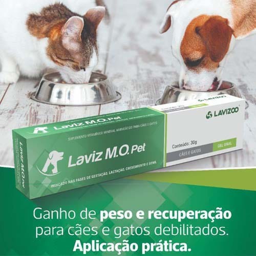 Lavi Fen 200ml Desinfetante Bactericida Detergente Lavizoo - Cuida+Pet -  Produtos para Pets