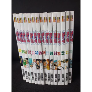 Mangás : Bleach (Volumes 20,21,22,23,24,26,27,28,29,30,31,32,33,34 e 35) - Usados