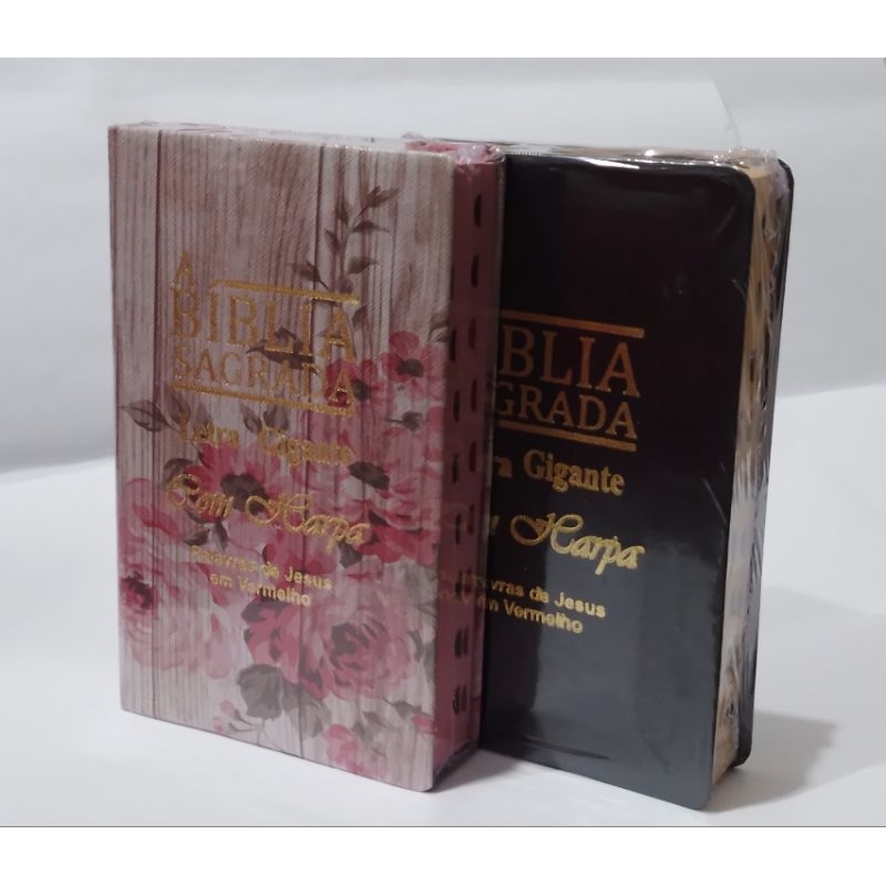 Combo 2 Bíblias Edição De Promessas Letra Grande Com Harpa Palavras De  Jesus Em Vermelho Revista