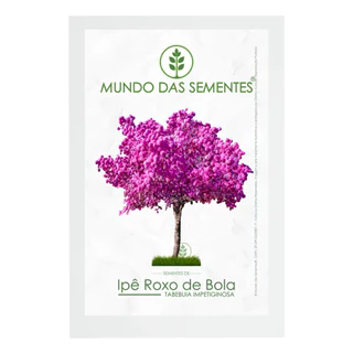 10 Sementes de Ipê Roxo de Bola Tabebuia impetiginosa Original - Mundo das Sementes®