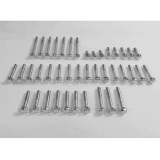 Kit Parafuso Tampa Motor Titan 160 Cromado