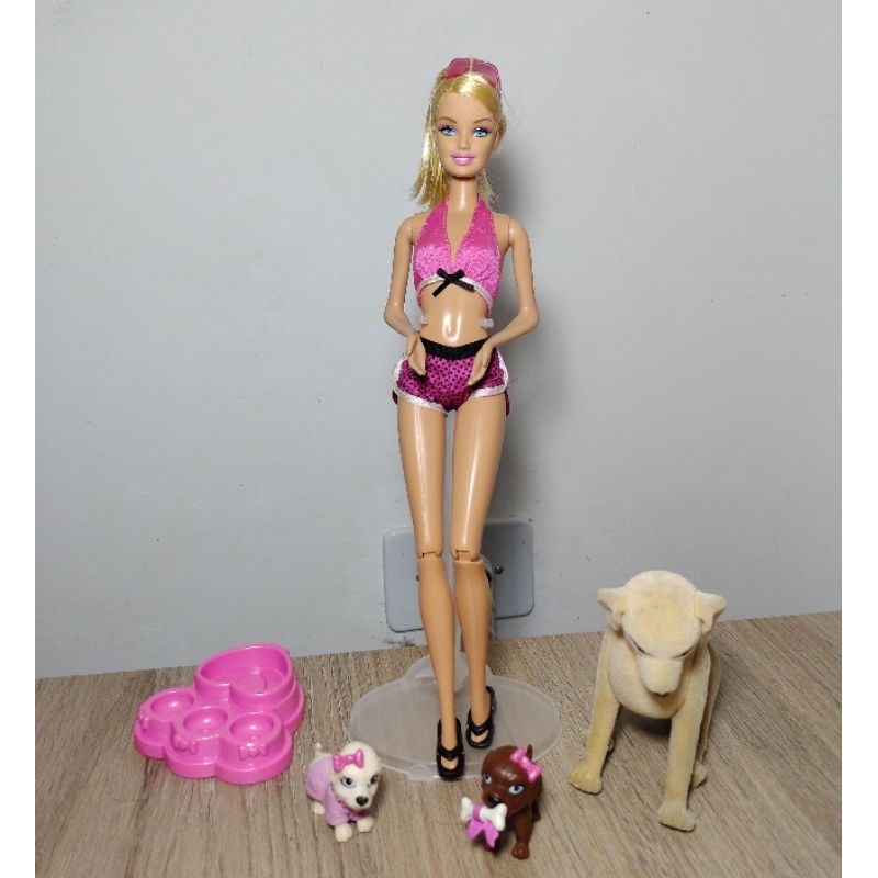Boneca Barbie Veterinária 70 Cm Grande Divertida Lançamento, jogos barbie  voce pode ser tudo que quiser