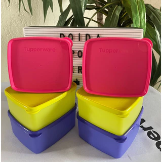 Tupperware Jeitosinho Linha Freezer 400 ML