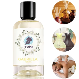 Essência Concentrada 100ml Gabriela Para Aromatizador Difusor Umidificador Elétrico Hidrossolúvel A Melhor em Oferta na Shopee