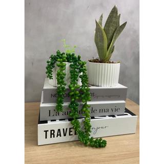 Kit com 2 Vasos decorativos com Suculenta Pendente e Cacto - Tendência - Exclusivos - Luxo