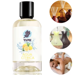 Essência Concentrada 100ml Para Aromatizador Umidificador Elétrico Super Forte Água Cítrica em Oferta na Shopee