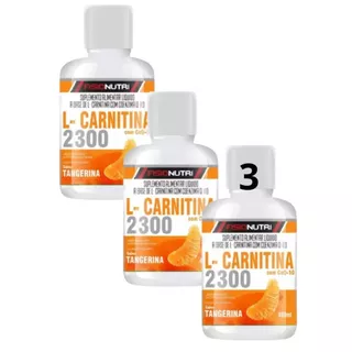 L Carnitina 2000mg 480ml - KIT 3 UNIDADES - Extra Forte E Concentrada - Fórmula Avançada Liquid Fast