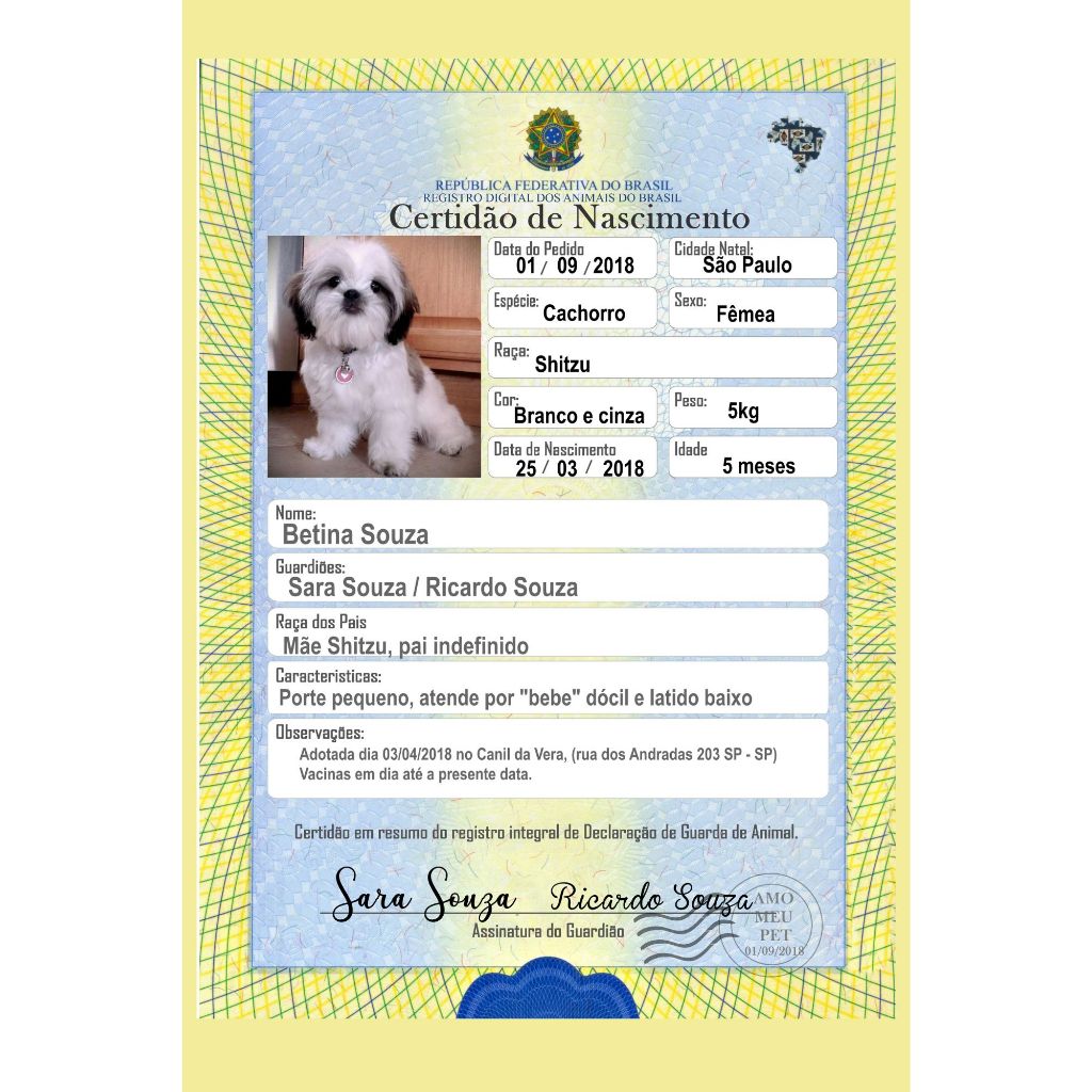 CERTIDÃO DE NASCIMENTO + RG PET PLASTIFICADO - Faz a Boa!