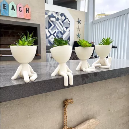 Show Kit Robert Plant P 4 Vasinhos Decorativos 6cm para Suculentas plantas artificiais e naturais (6cm)