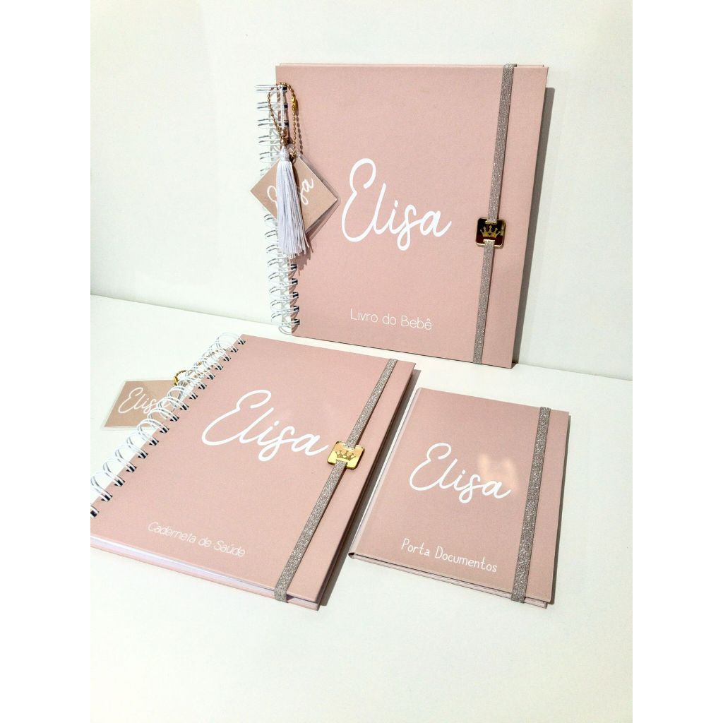CADERNETA DE VACINAÇÃO PORTA DOCUMENTOS LIVRO DO BEBE ROSE MENINA PERSONALIZADA