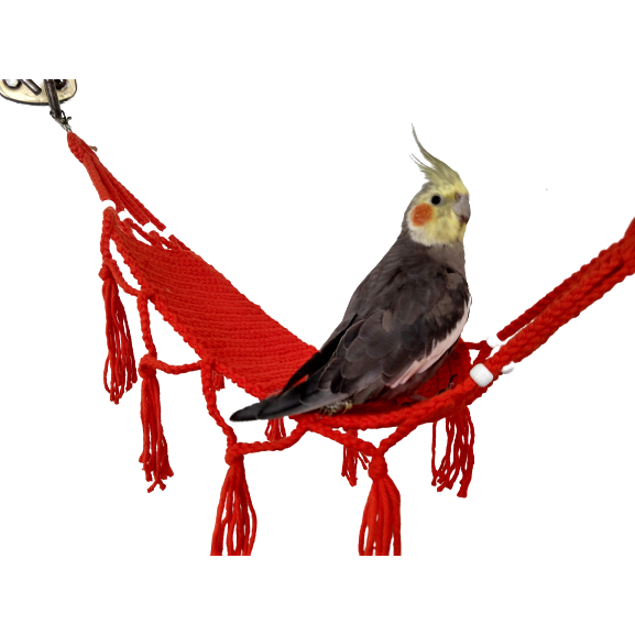 Rede redinha de crochê para calopsita, agapornis, periquito, rosela ...