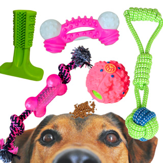 Brinquedo Pet Dental Play para Morder Mintfresh Haltere 5x13cm