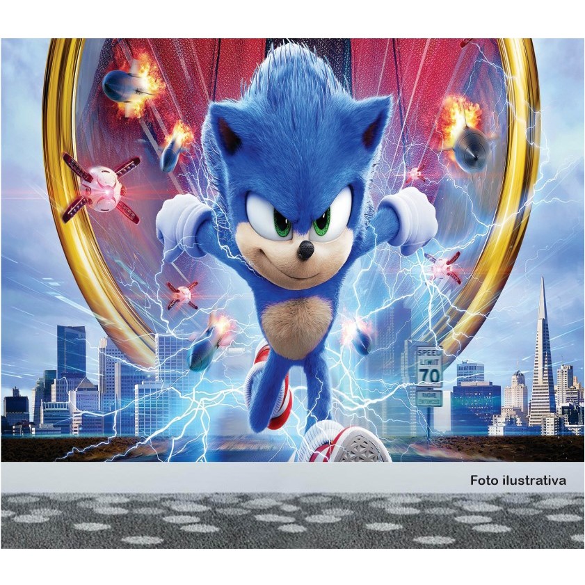 Quadro Decorativo Poster Desenho Sonic Mania Game Infantil 5