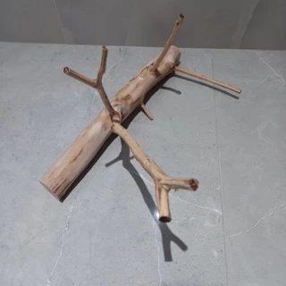 Galho de goiabeira sem casca para aquário,roedores,aves,calapsitas