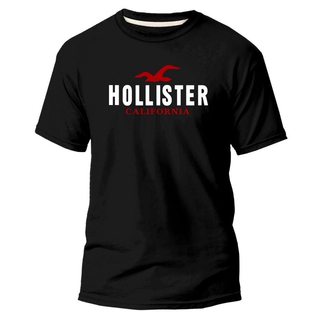 CAMISA HOLLISTER POLO BASIC