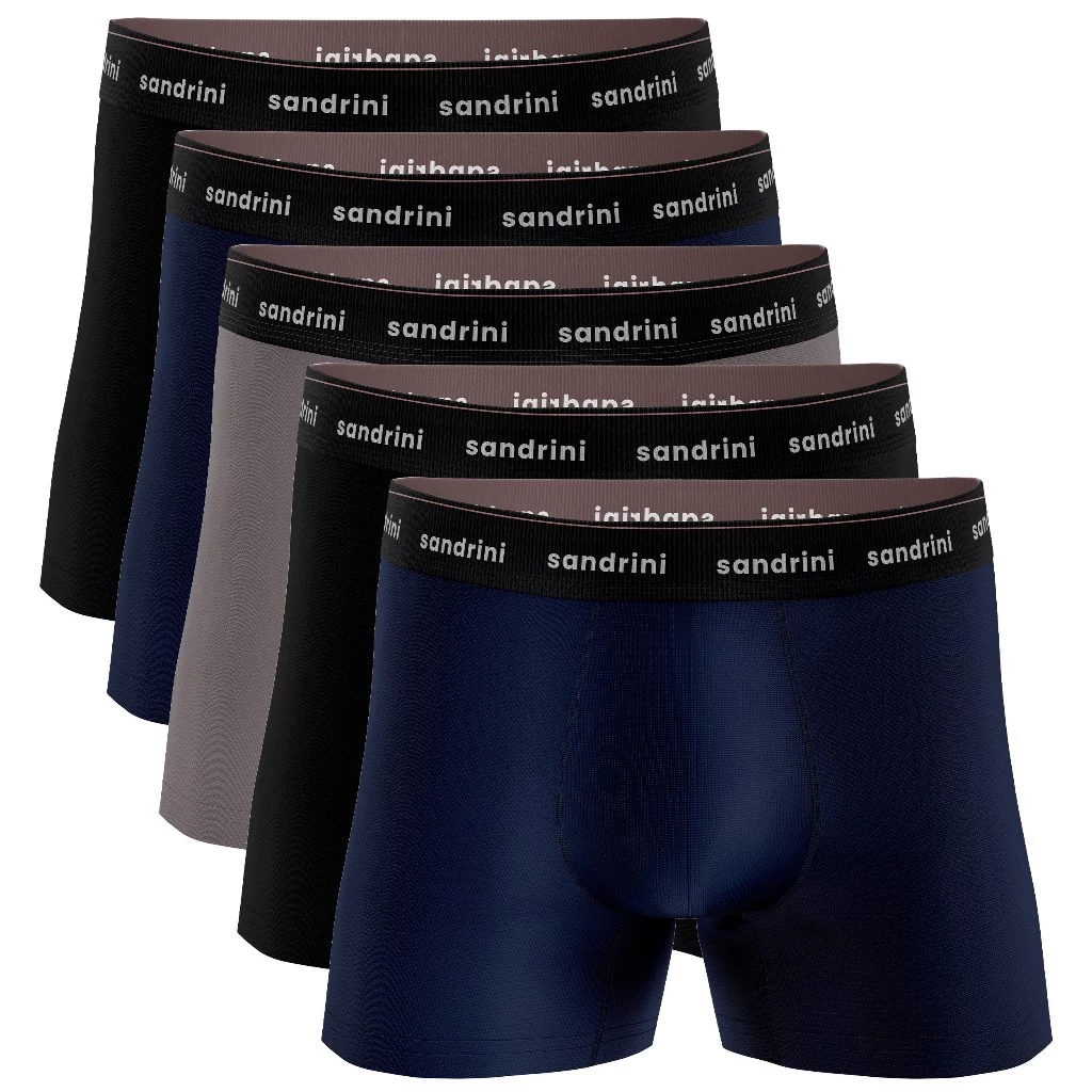 Kit 5 Cuecas Boxer Sandrini Algodão Adulto Masculinas Elastano Original cueca bo