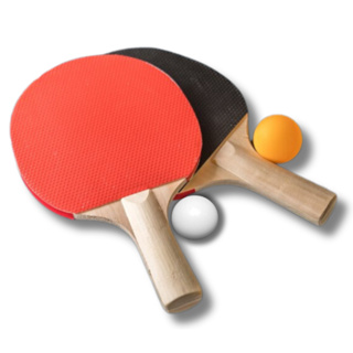 TÊNIS DE MESA PING PONG  A maior loja de bolinha pula pula e maquina de  bolinhas online do Brasil