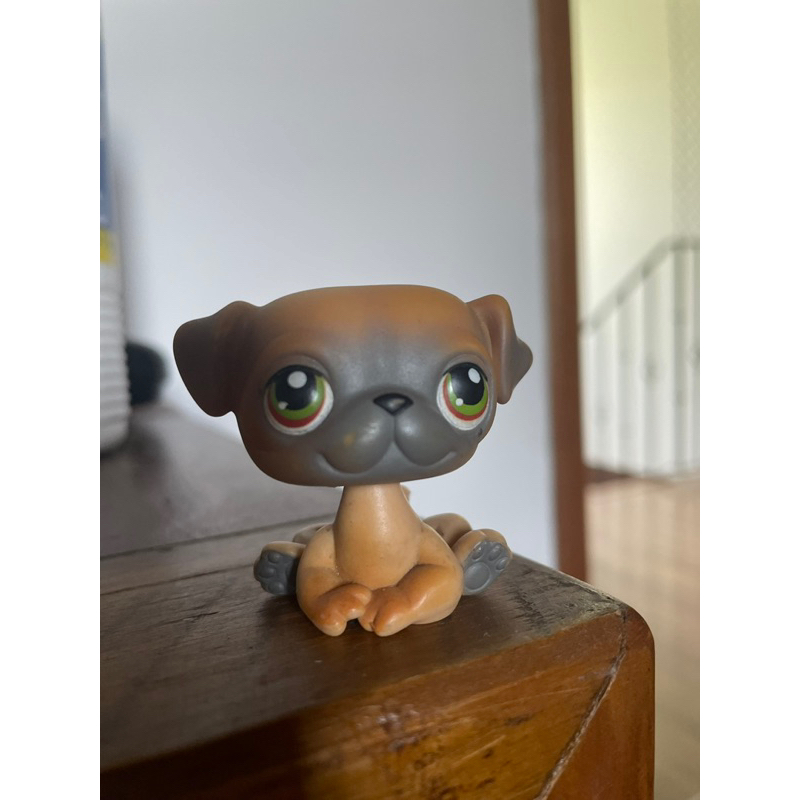 Lps pug best sale