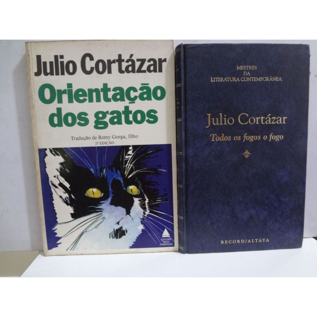 Todos Os Fogos O Fogo by Julio Cortázar