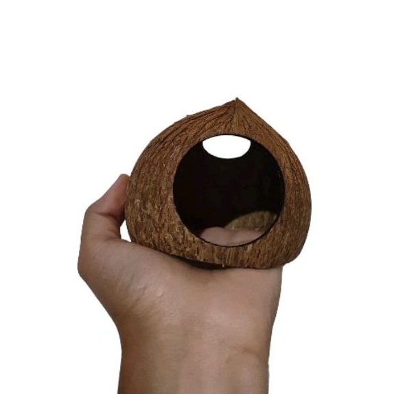 Toca de peixe feita de coco para aquário