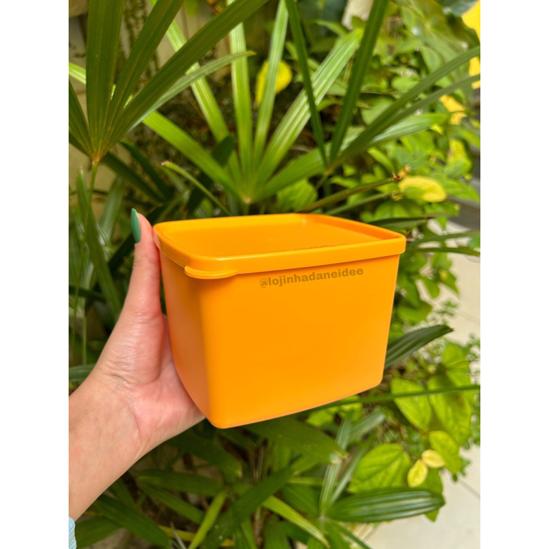 Tupperware Jeitoso 800 ml Linha Freezer Diversos Modelos e Cores