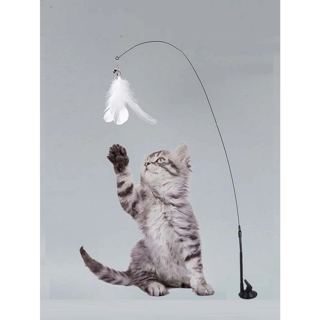 Brinquedo Gato Varinha Pena Ventosa Fixa Chao Parede vara Pet Brincar ...