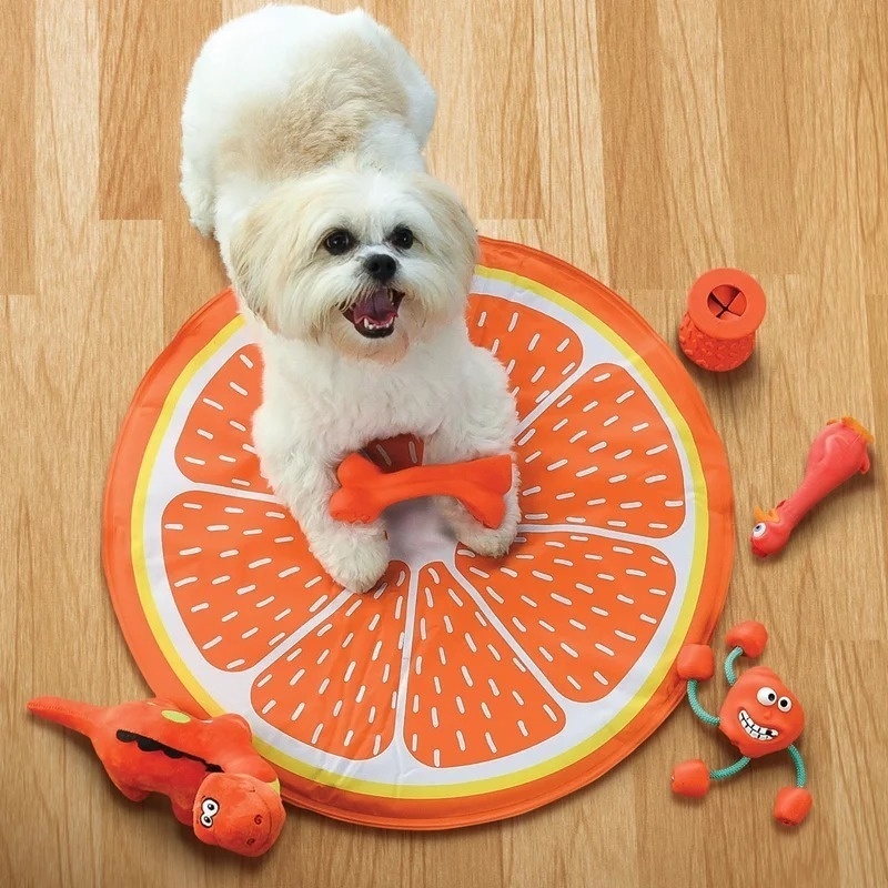 Tapete Gelado - Almofada de Frutas - 60 cm - Meu Pet