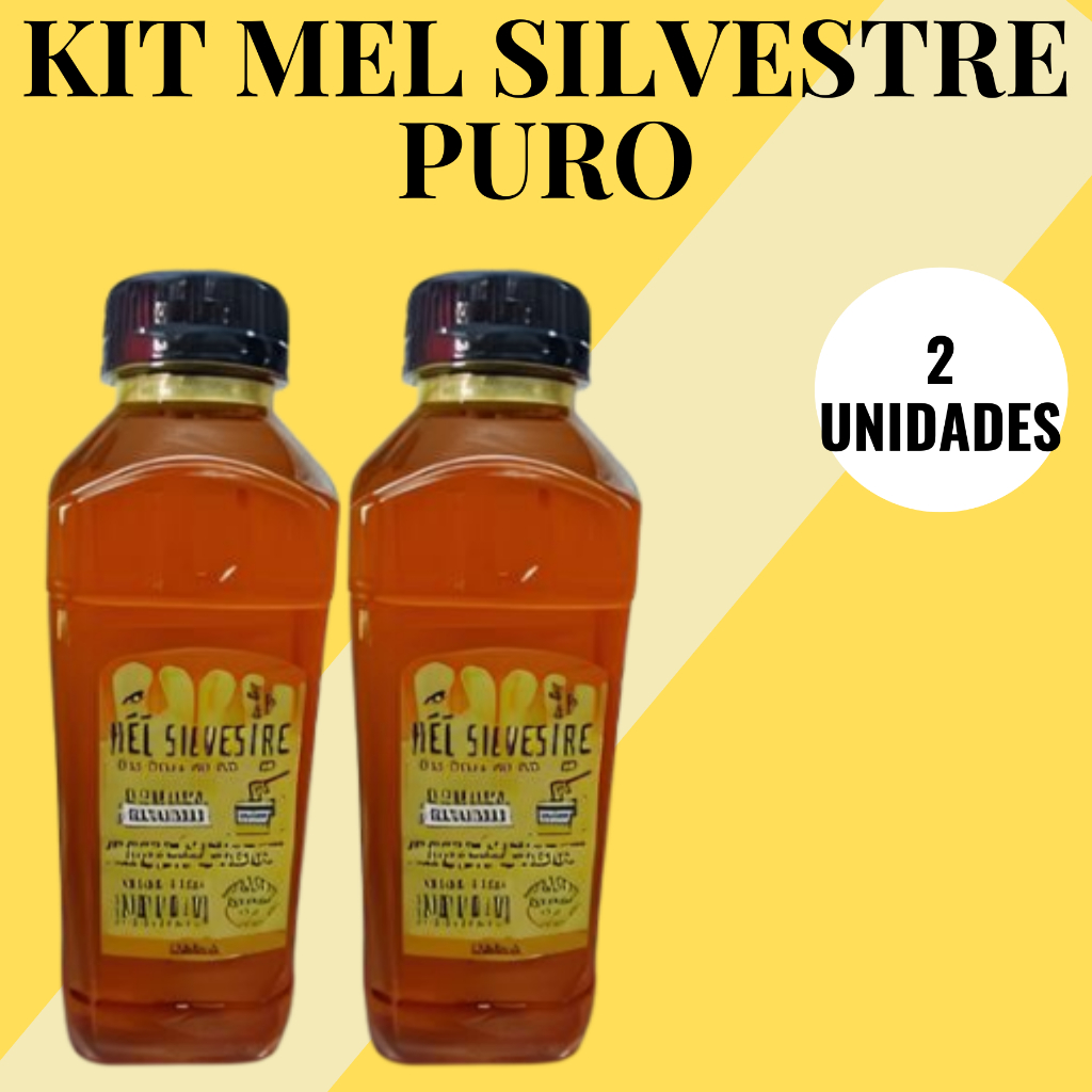 Mel de Abelha Silvestre Rio Novo Do Sul Natural 100% Puro 500 ML 2 ...