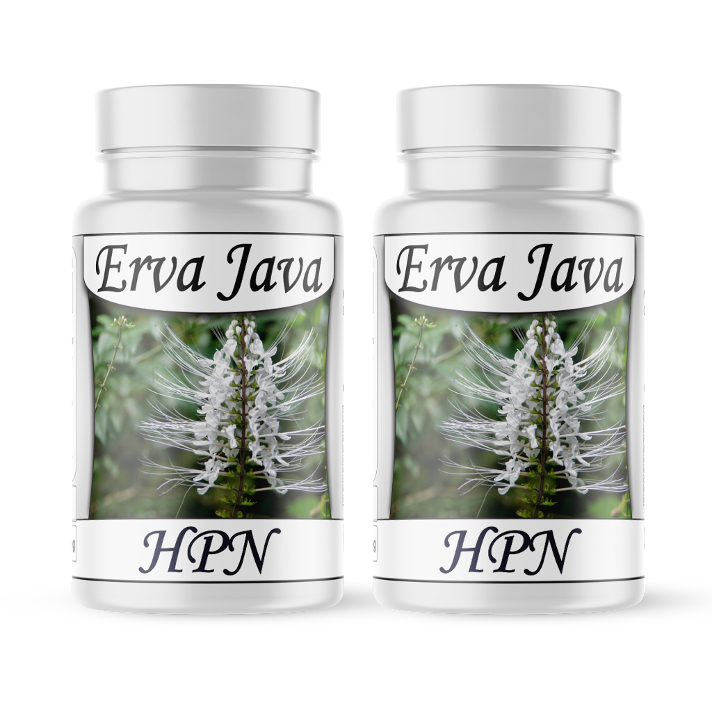 Erva Java (chá de java) produto natural 120 cápsulas/500mg 2 potes ...