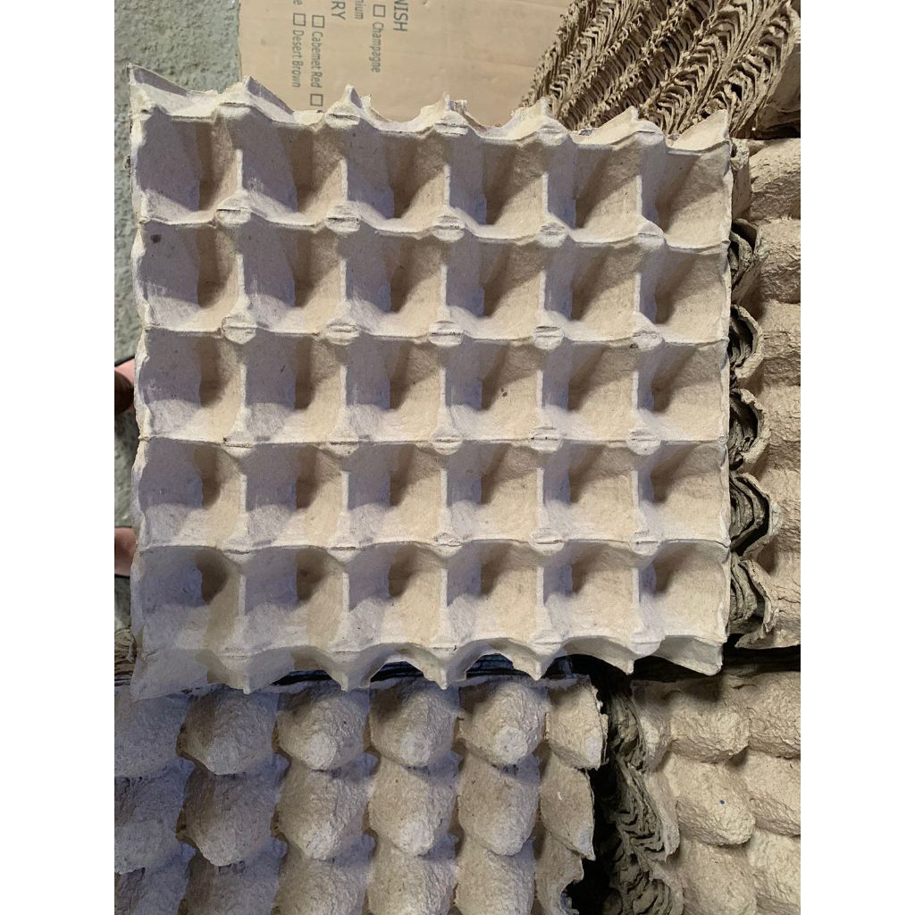 Crivo bandeja embalagem Cartela para Ovos Galinha Capacidade 30 Ovos pacote com 100 Unidade