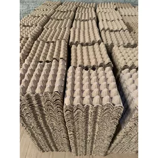 crivo para ovos bandeja embalgem de papelão para ovos capacidade 30 ovos