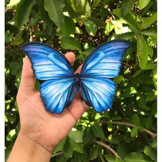 12 Borboletas Tom Azul 15 CM para Enfeites Decoração