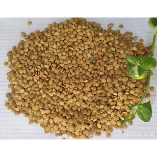 Gliricidía 60g /350 sementes Aproximadamente